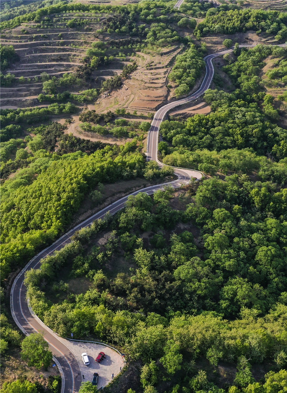 山路弯弯 高兴建 (2).jpg