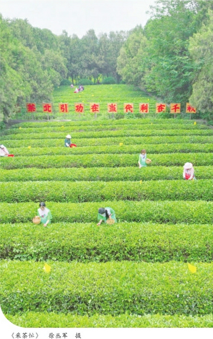 e0d549f766b411c64c5ef50f6d0cbc2a_8255f4b6d574e00ce94e69ede71a14e5.jpg