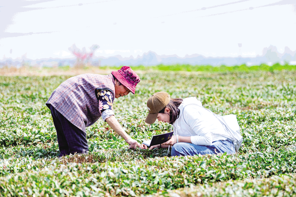 1712880948530075886.png image.png