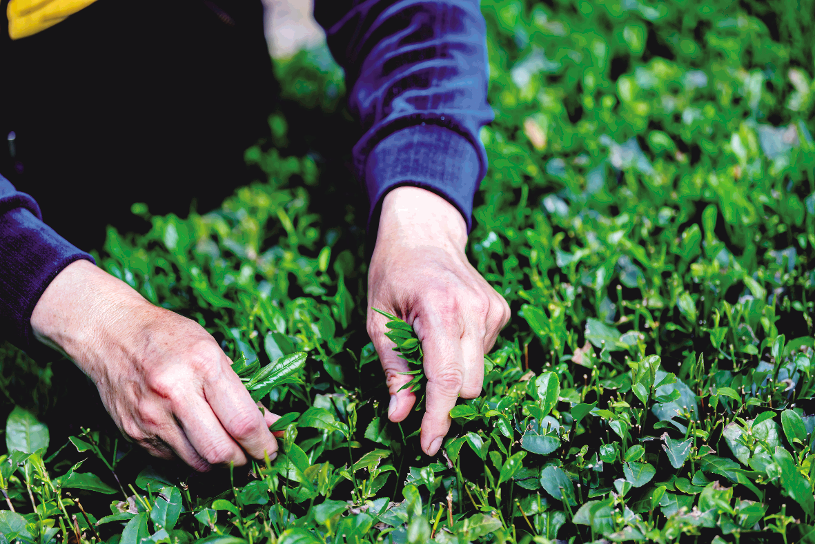 1712880989150077296.png image.png