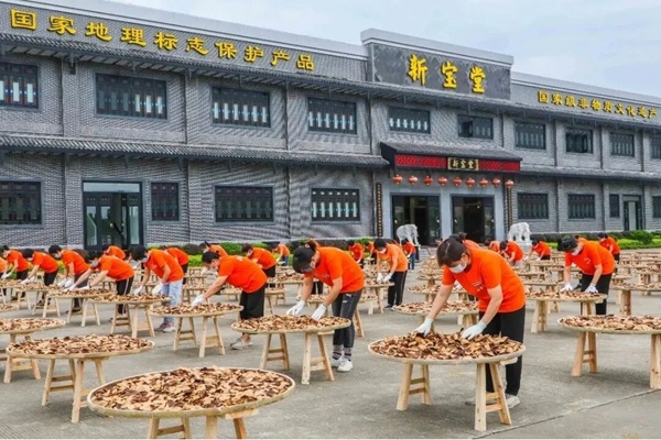 图片24.jpg