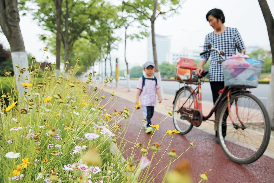 AC米兰官网步行与自行车交通整合策略剖析洞察