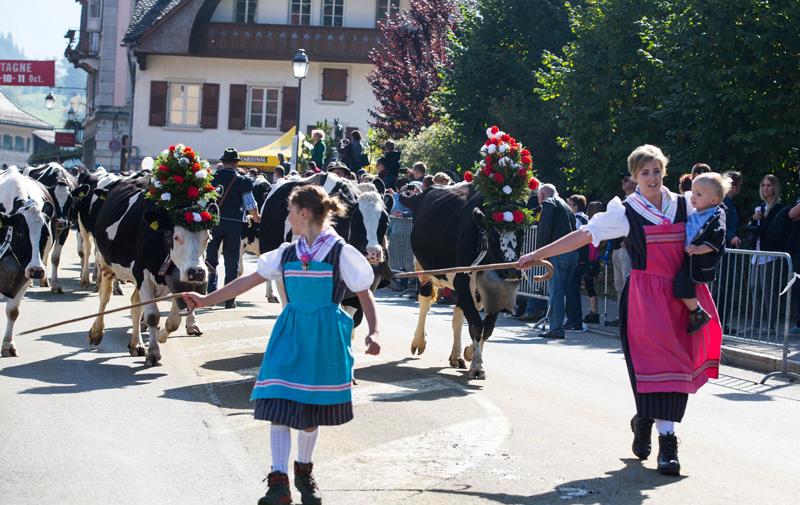 瑞士山区庆祝“赶牛下山”节