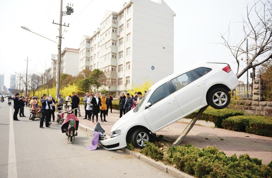 错把油门当刹车 实习女司机开车“上树”