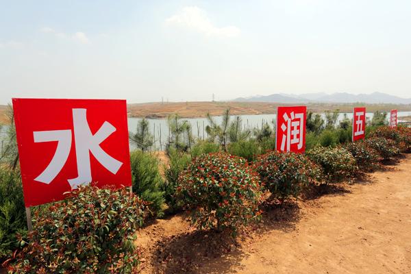 林水相依 水丰林茂