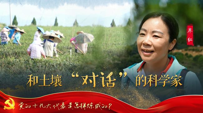 廖红：和土壤“对话”的女科学家