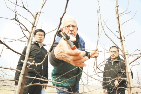 洋专家地头“蹲点”传技