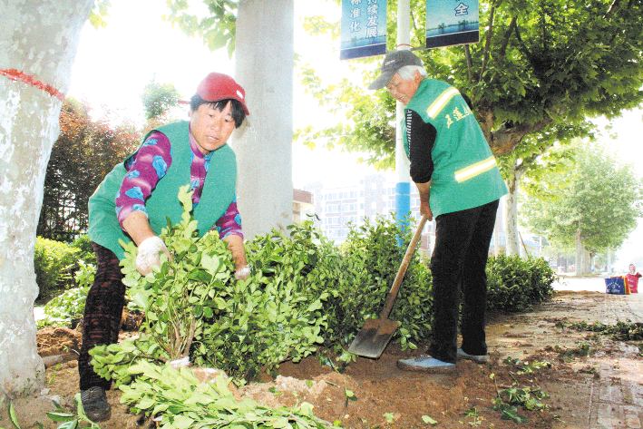 增植补绿扮靓环境