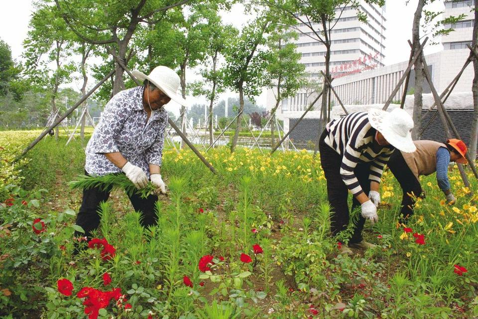 街头镇护水养绿打造生态绿色景观