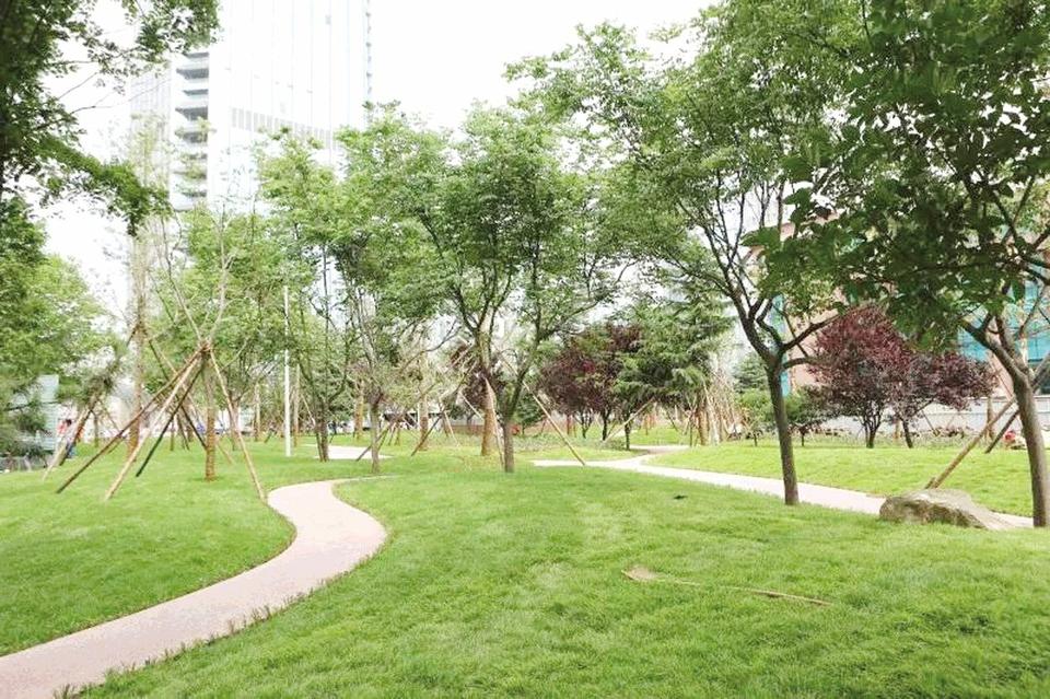 市区新添一处5500 平米的街头公园