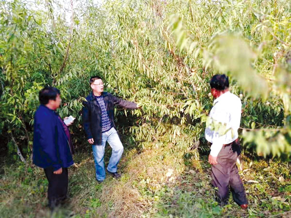 “第一书记”孙东兴：不让一个贫困家庭掉队