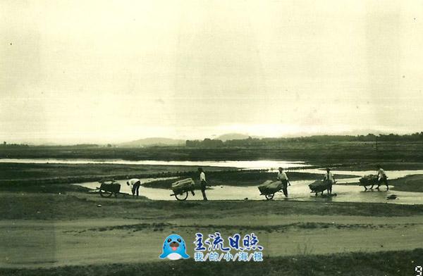 1-0 三十多年前，岳家村依河而居，当时沭河景象.jpg