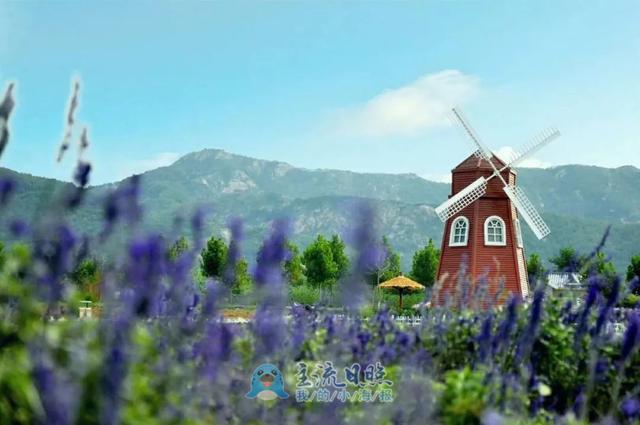 莒县嗡嗡乐园加盟我市旅游一卡通