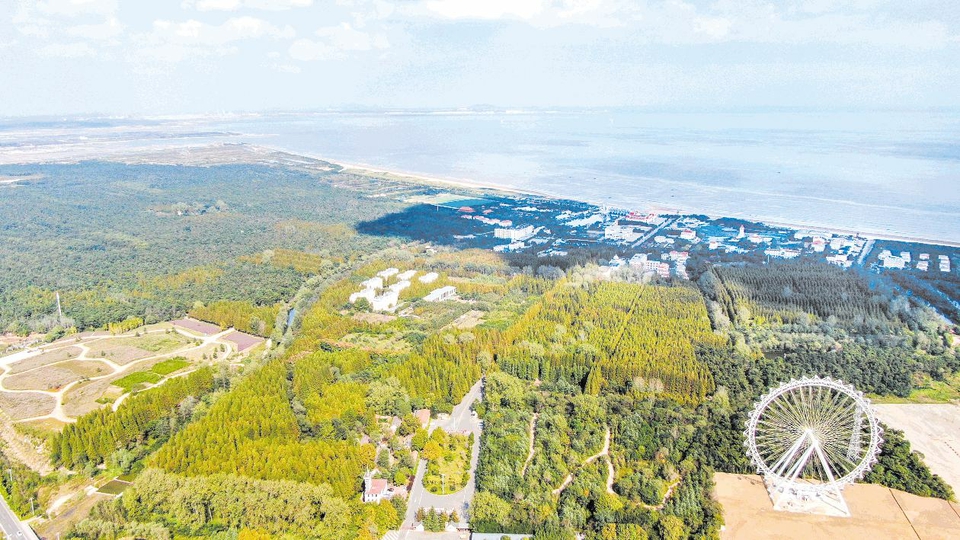 日照海滨国家森林公园宣告最新进园须知