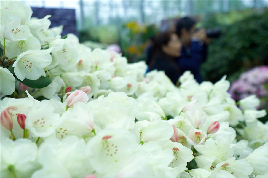 保潔阿姨時尚服裝（保潔員服裝什麽樣的最時尚）