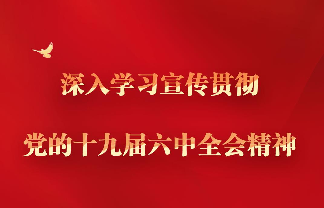 深入学习宣传贯彻党的十九届六中全会精神