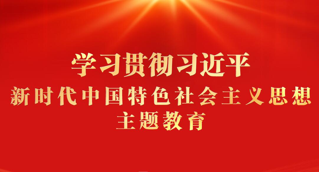 学习贯彻习近平新时代中国特色社会主义思想主题教育