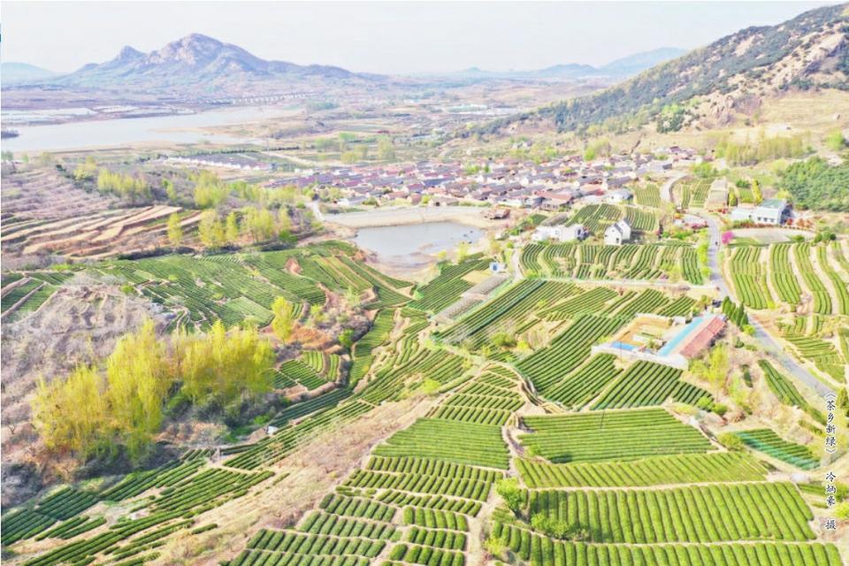 让世界发现日照之美——中国（日照）新闻摄影周历届摄影作品精彩回眸（五）