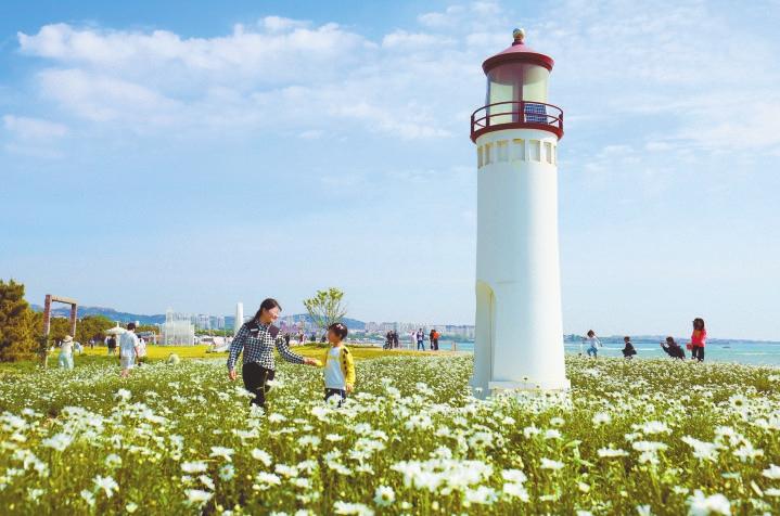 花海遇见大海