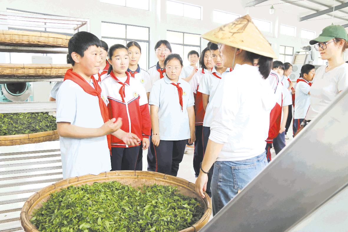 沉浸式感受茶魅力