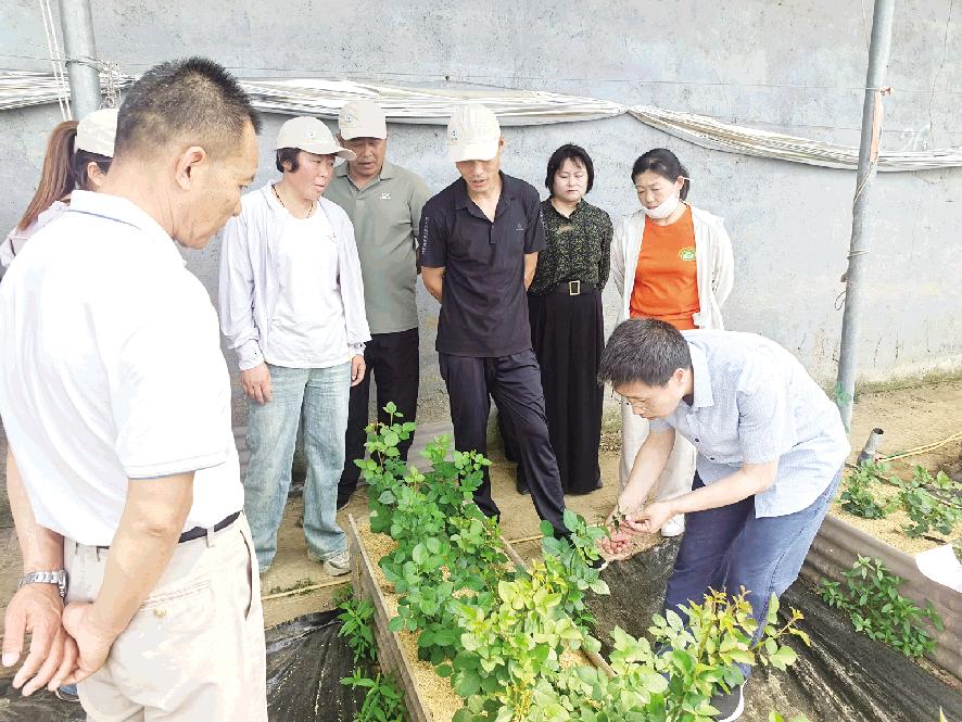 送科技下乡