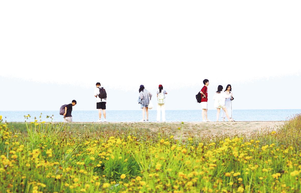 盛夏诗意引客来