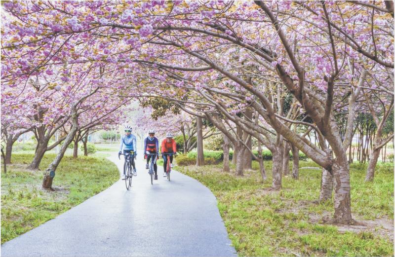 “骑遇”花海