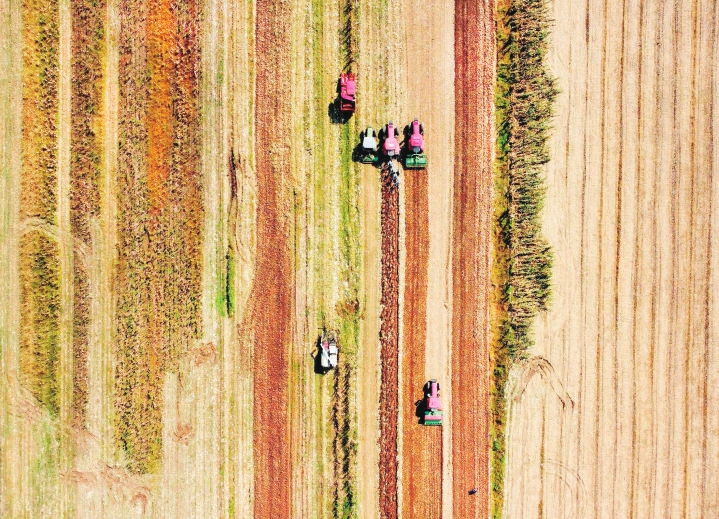 服裝圖案時尚女裝專場（服裝圖案設計）