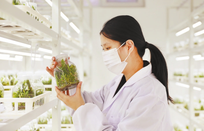 扭曲服裝時尚短片圖片大全（扭曲的時尚拍攝主演）