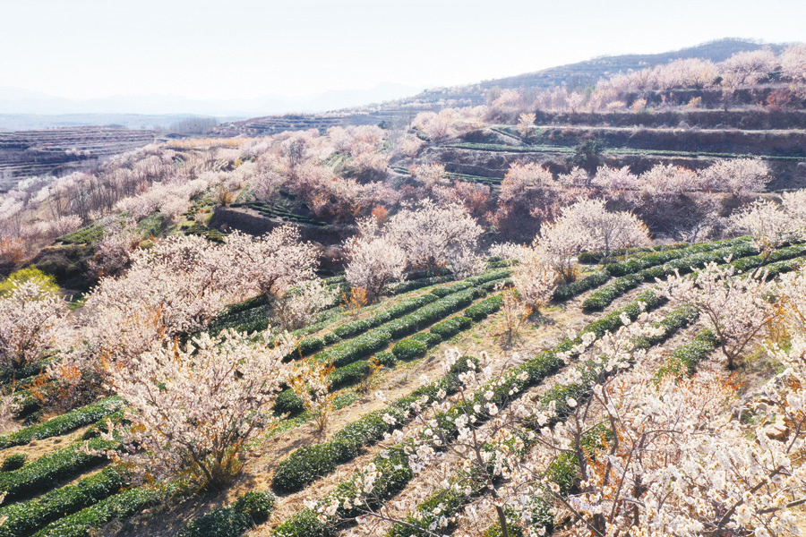 《三位一體4：夢魘王子》新DLC正式出售 Steam仄台賣價32元