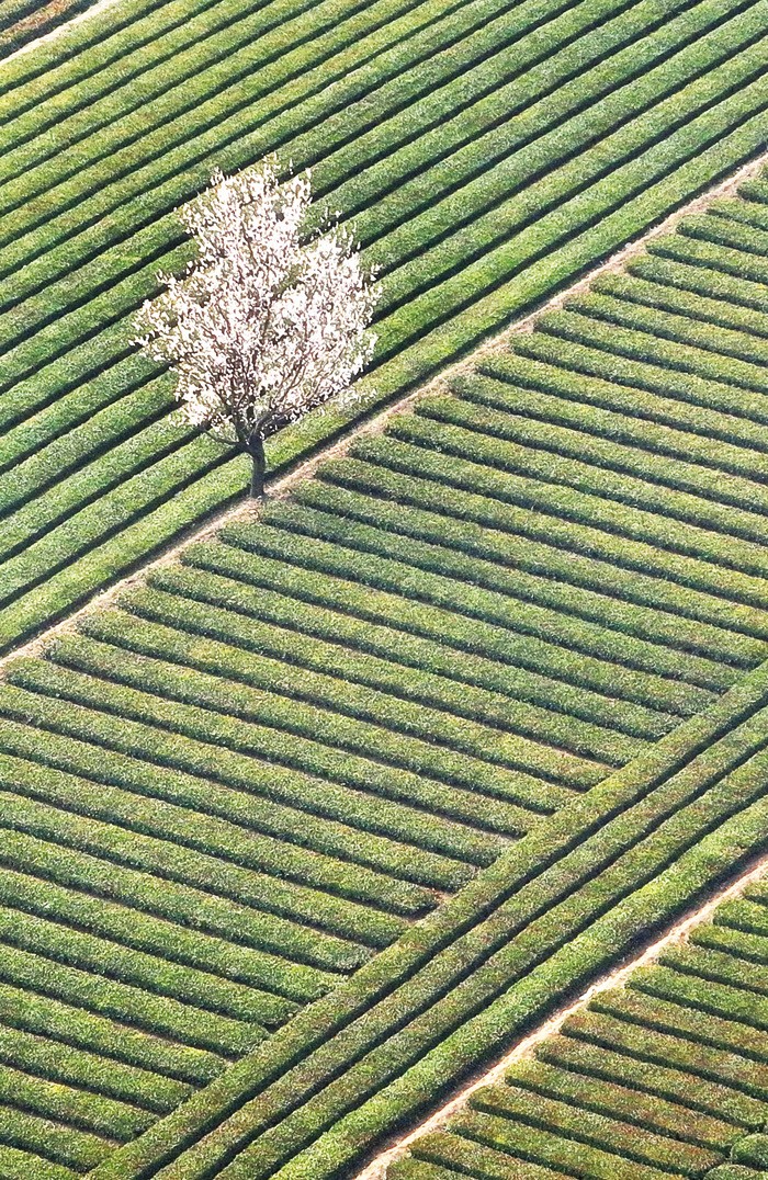 兒童男時尚潮流服裝（男兒童服裝搭配技巧圖片）