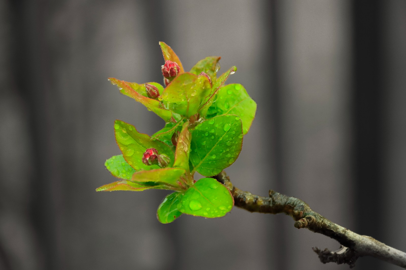 夏季時尚服裝直播（服裝直播排行榜前十名）