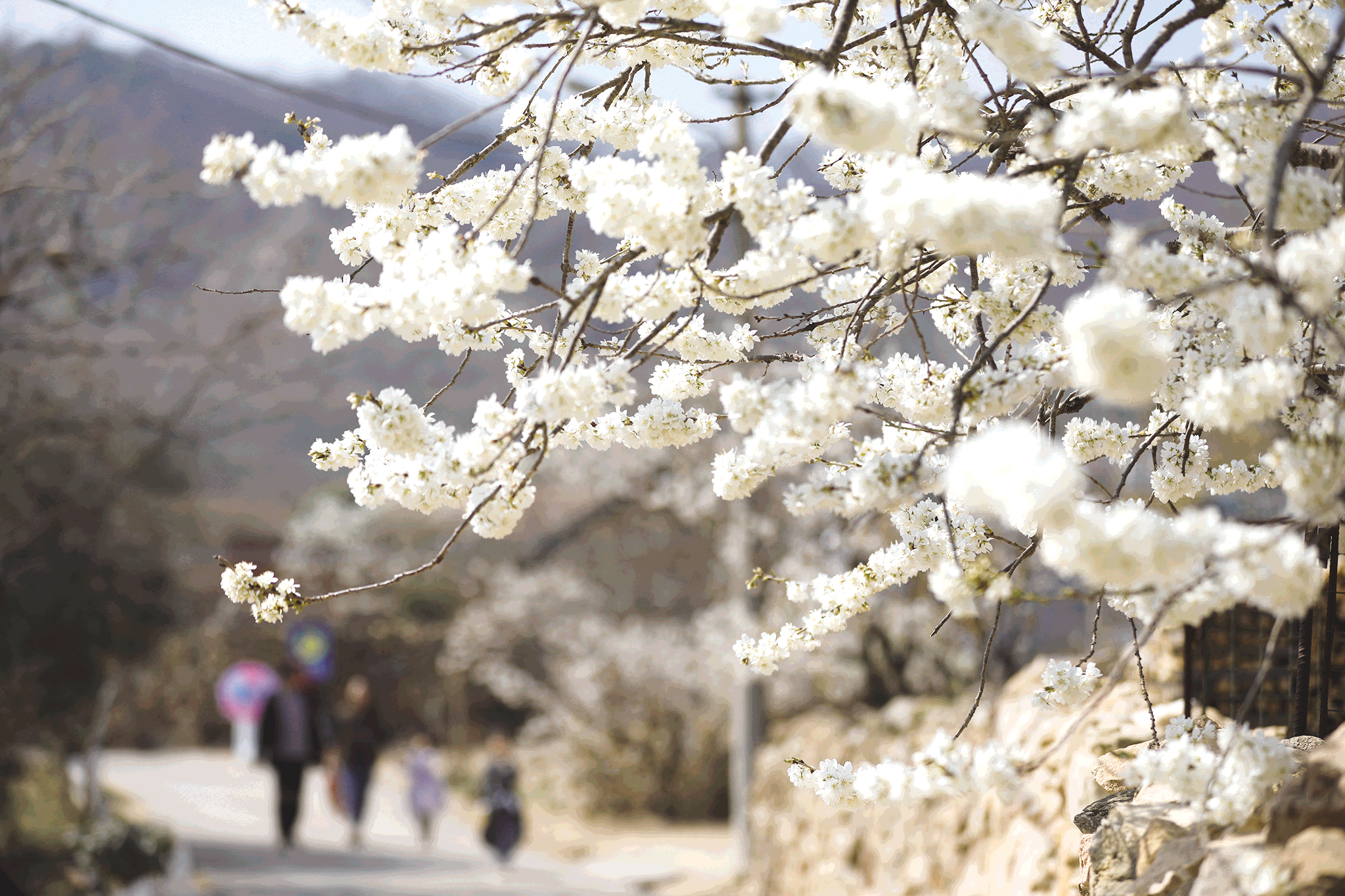 1679446675035039389.png image.png