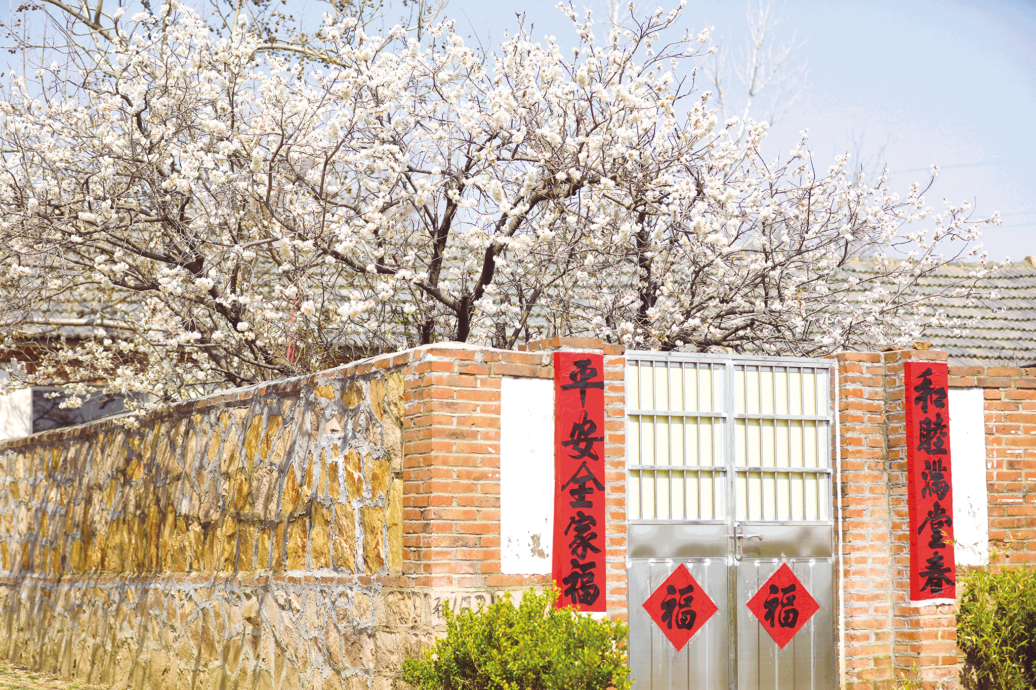 1679446689309093906.png image.png