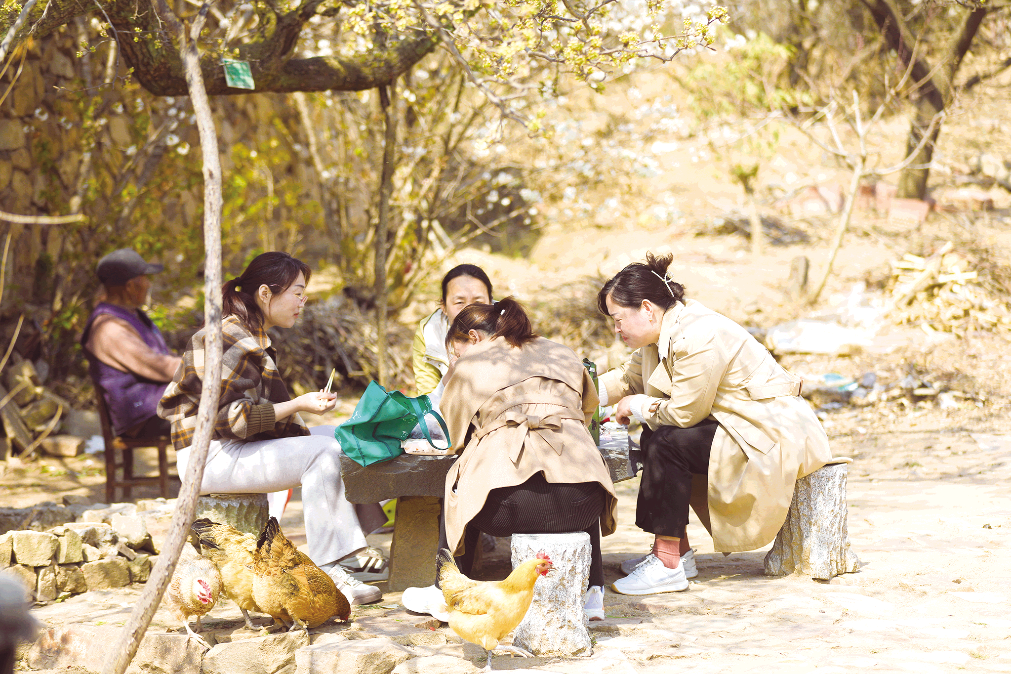 1679446698295056282.png image.png