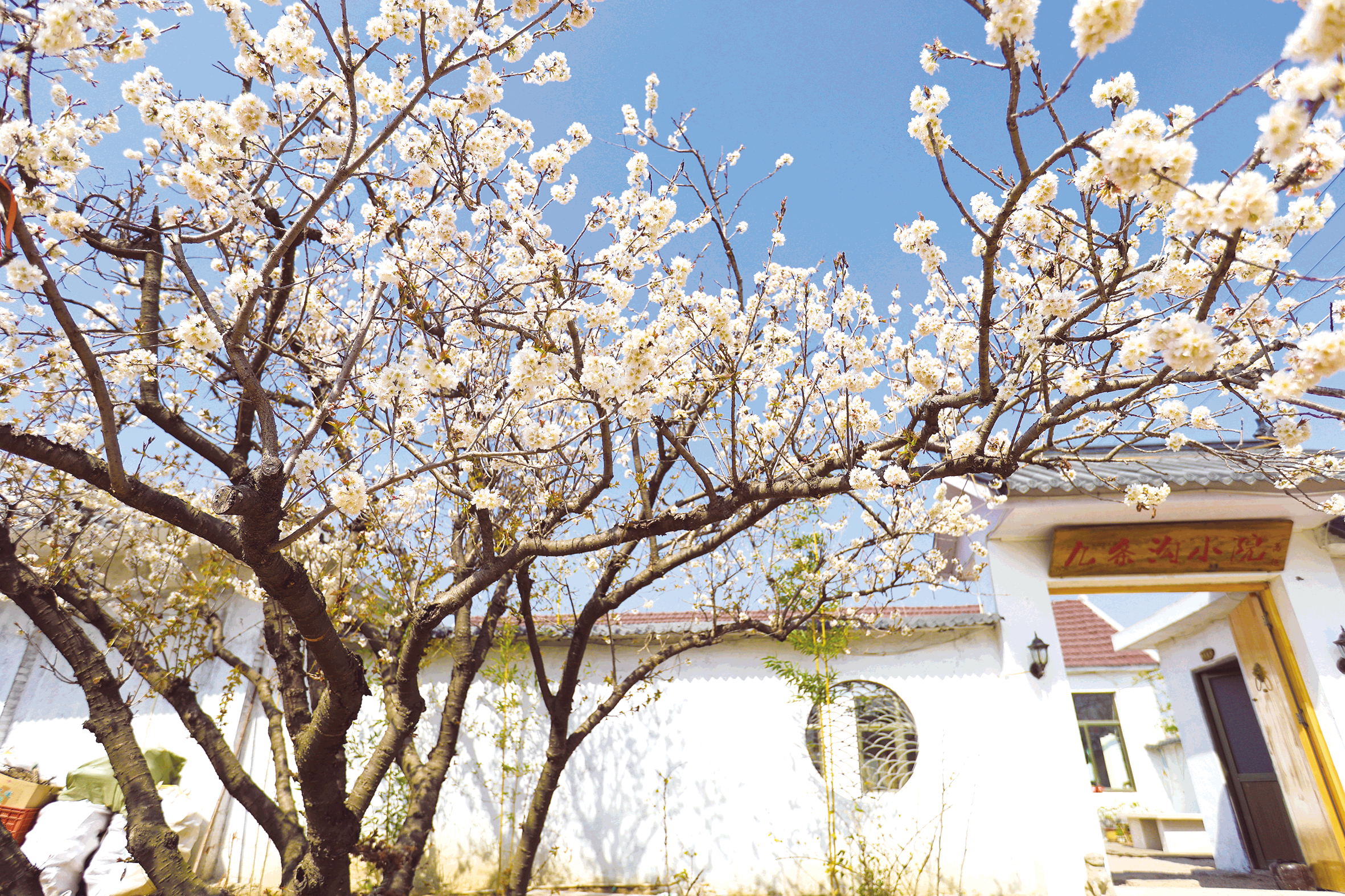 1679446799465071236.png image.png