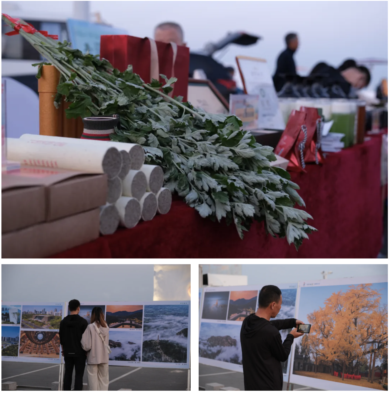 1717825986046059888.png image.png