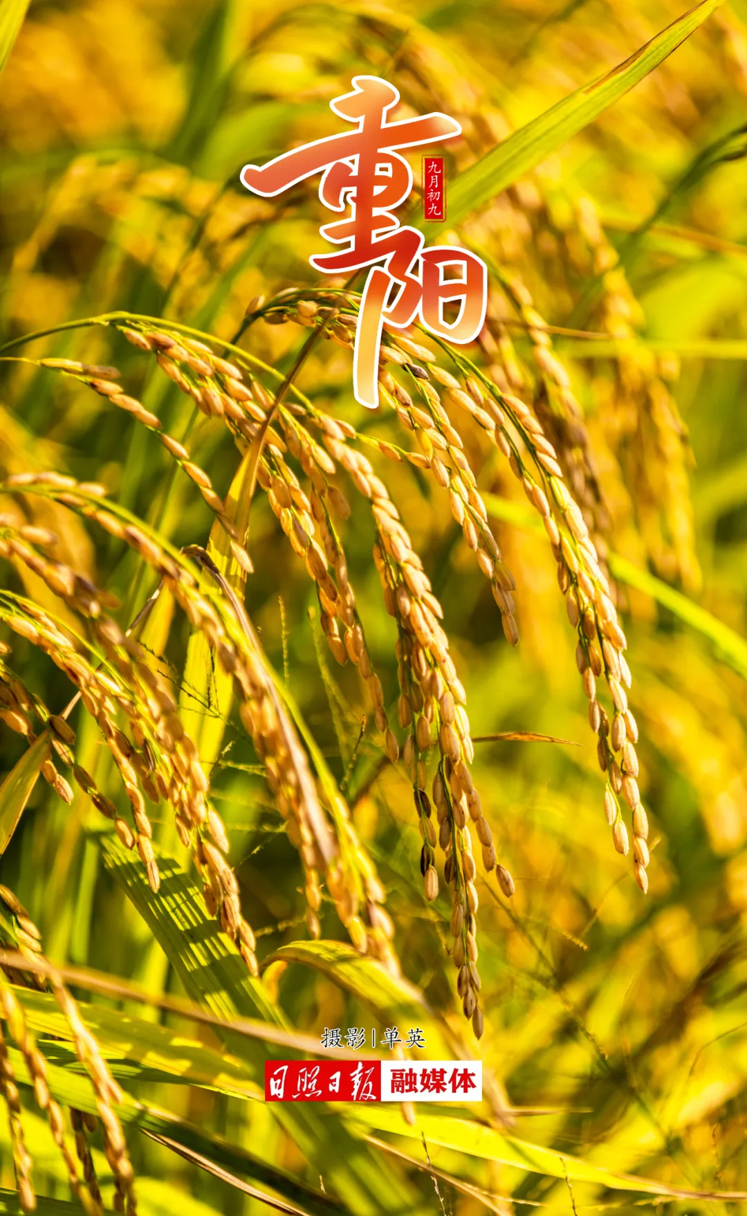 1728611795328021817.png 111.png