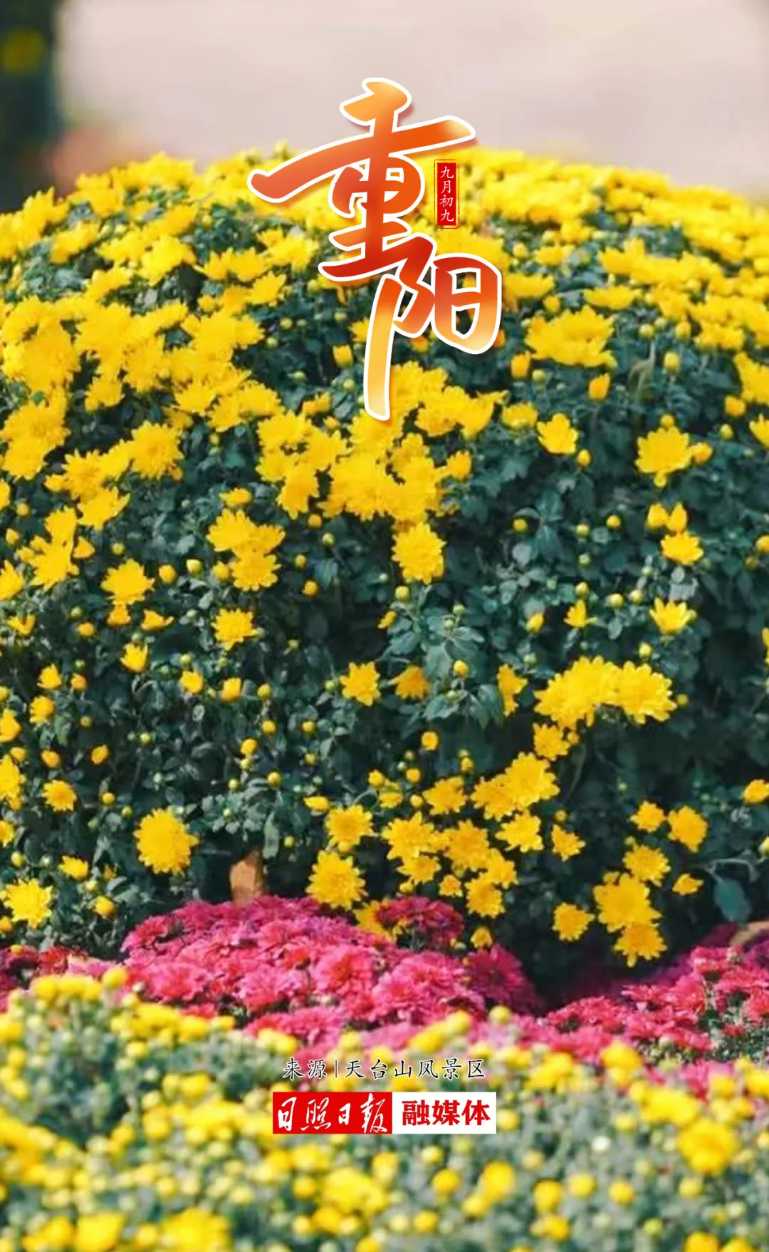 1728611826139014769.png 22.png