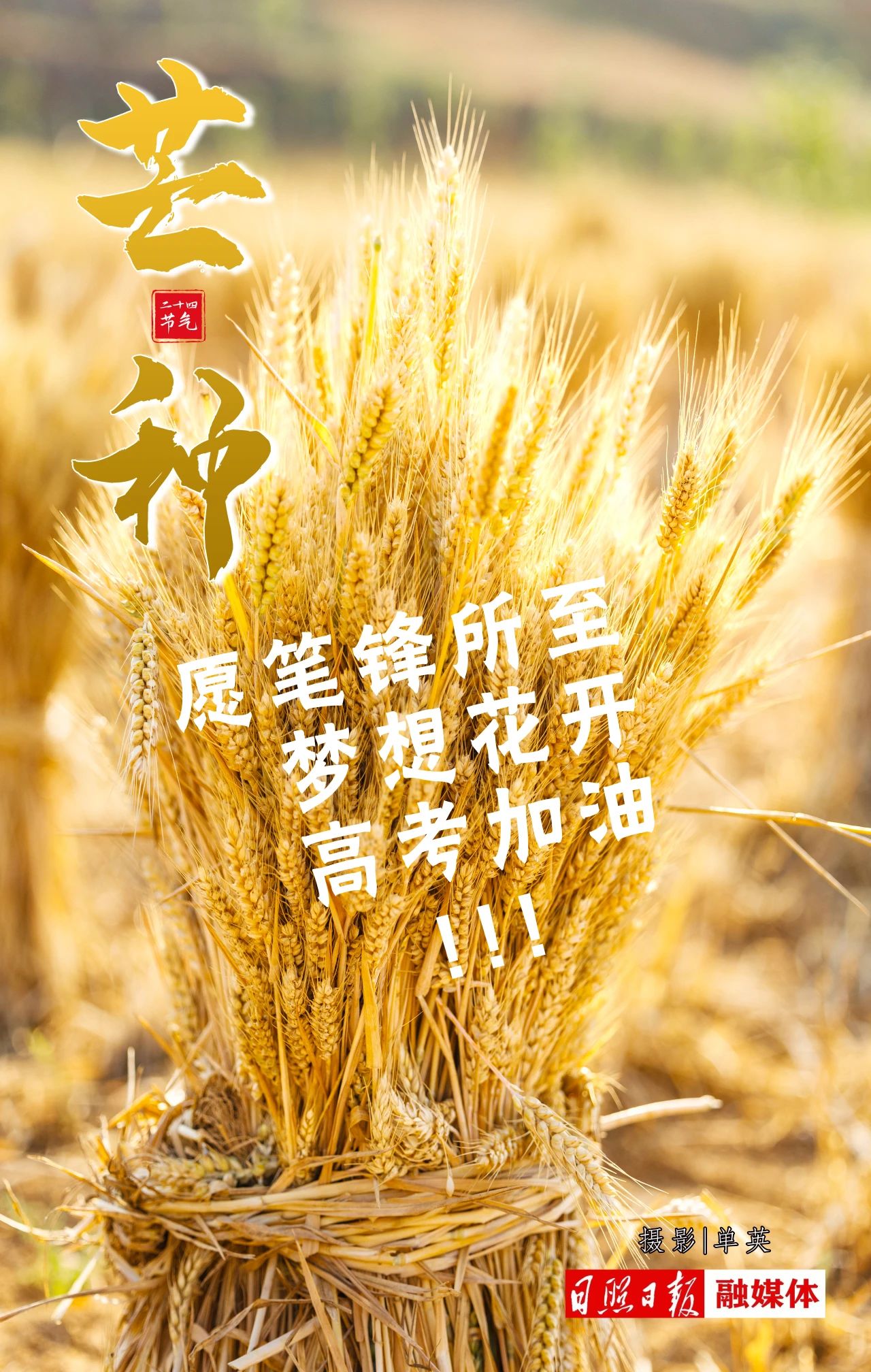 247d93abac007dce74a7c1d52812a11a.jpg