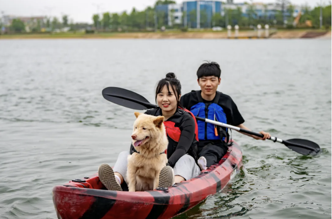 1751184148959015041.png image.png