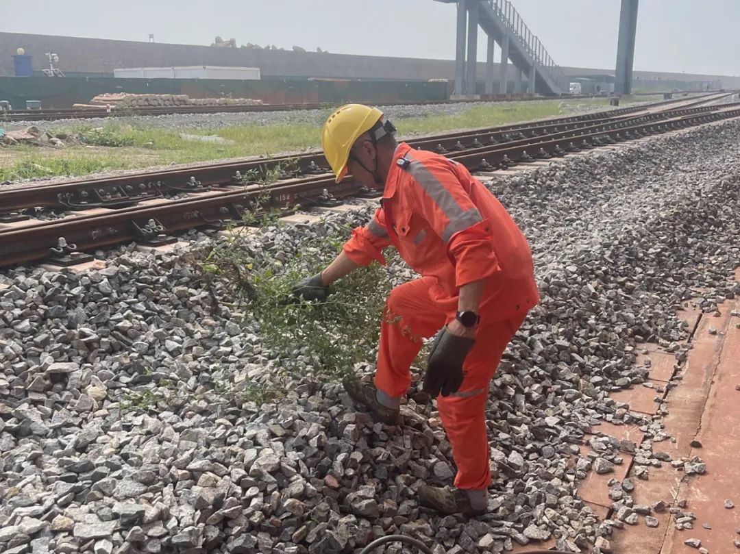 1756428680048077635.jpg 640 (2).jpg