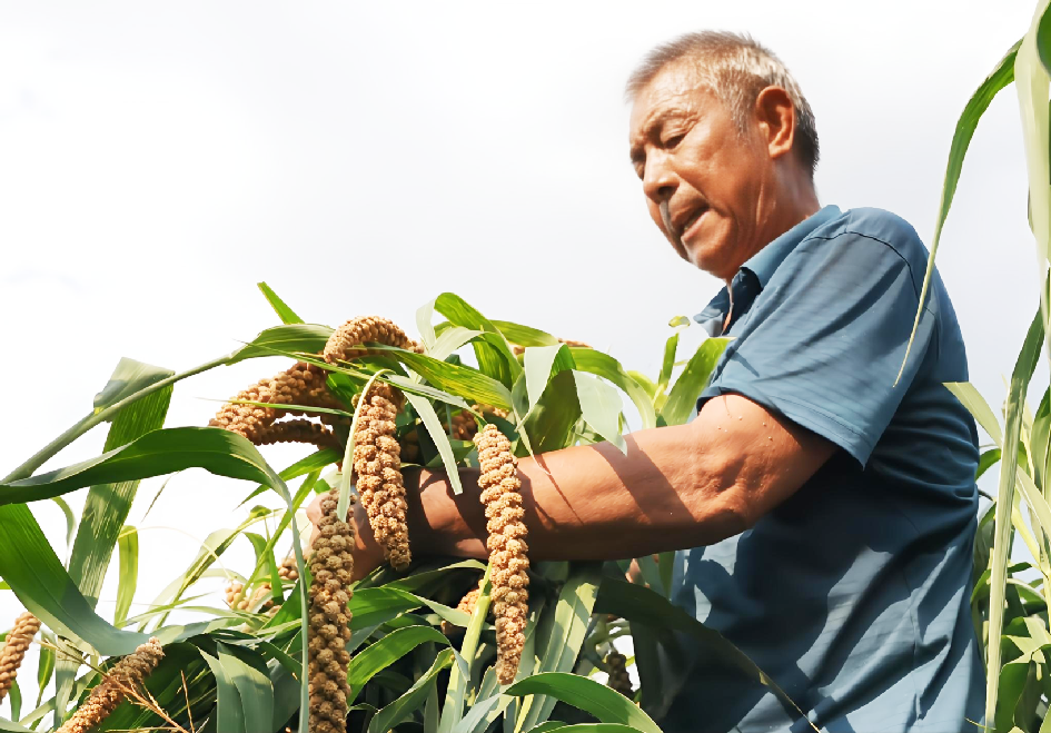 1757466379126014534.png image.png