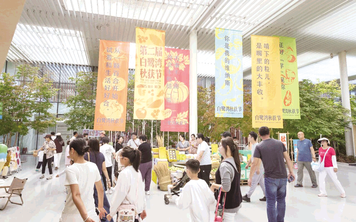 1759972378210066903.png image.png