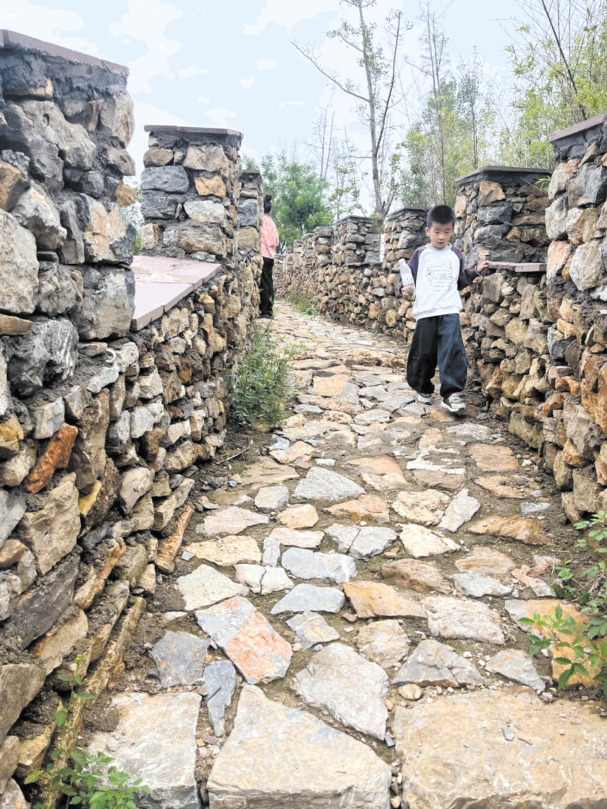 1760318790340092545.png image.png