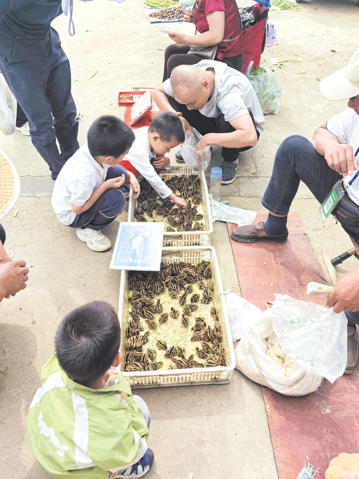 1760318916671023512.png image.png