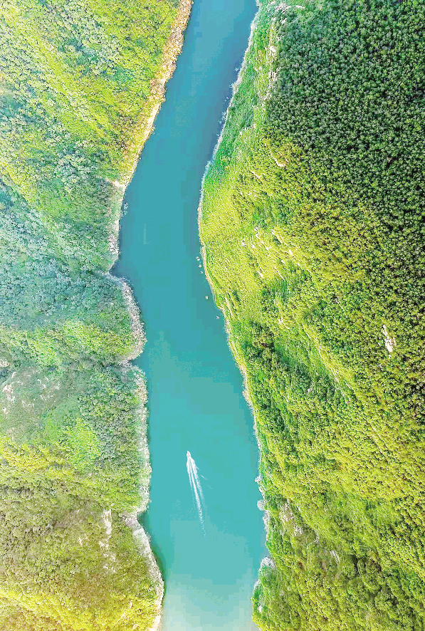 1760608712191043941.png image.png