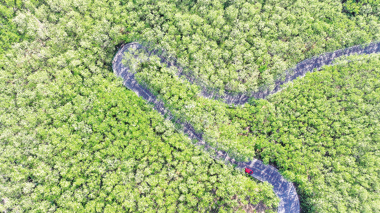 1760608811184064860.png image.png