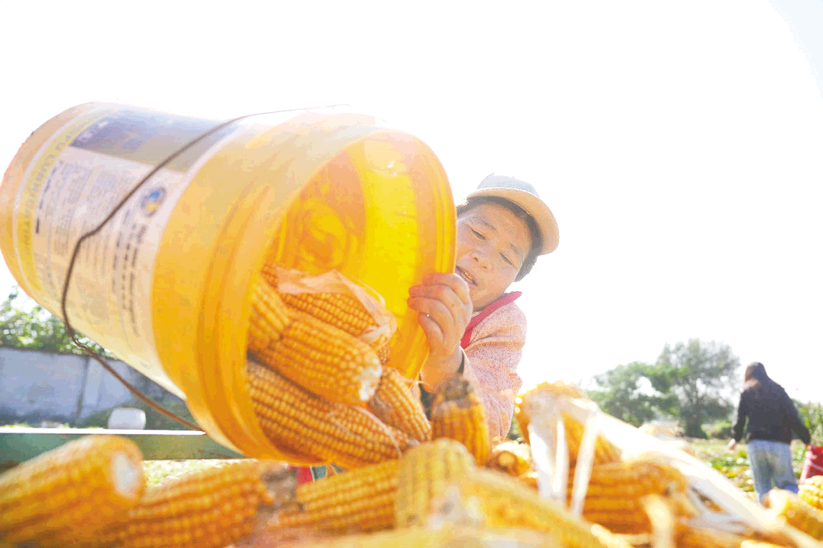 1761008334917019769.png image.png