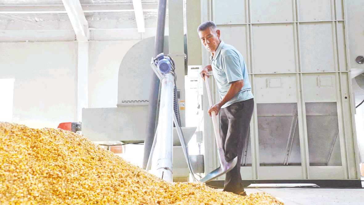 1761008359298002587.png image.png